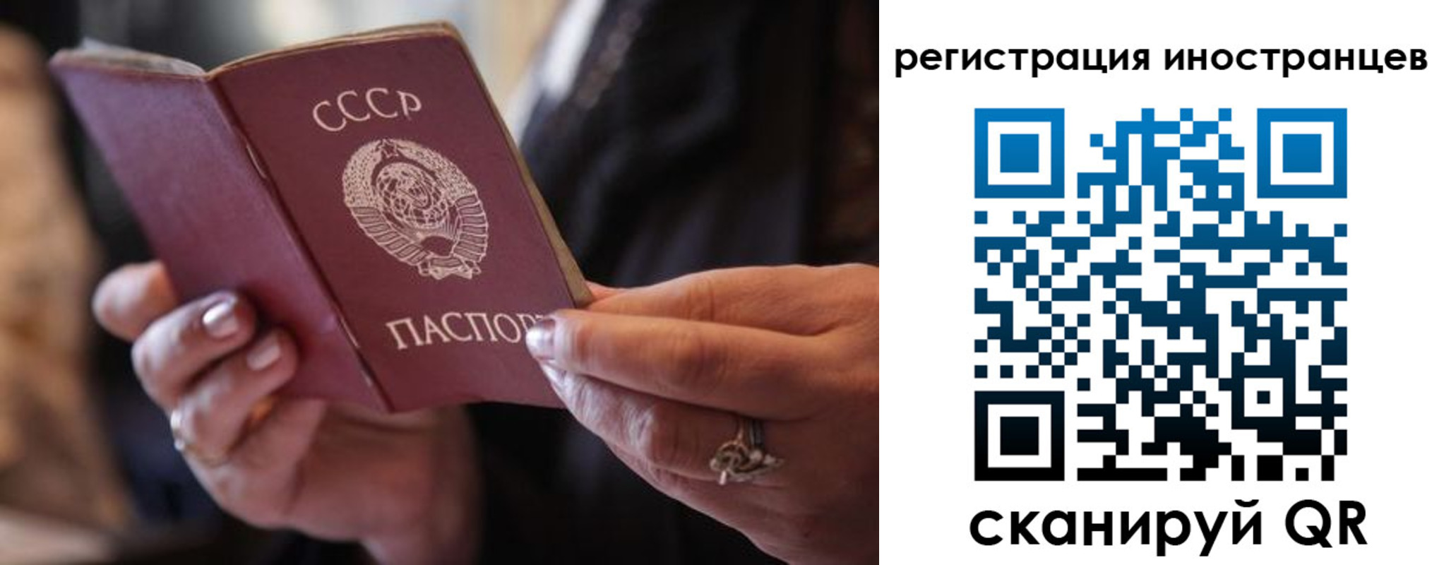 где прописаться в Кингисеппе